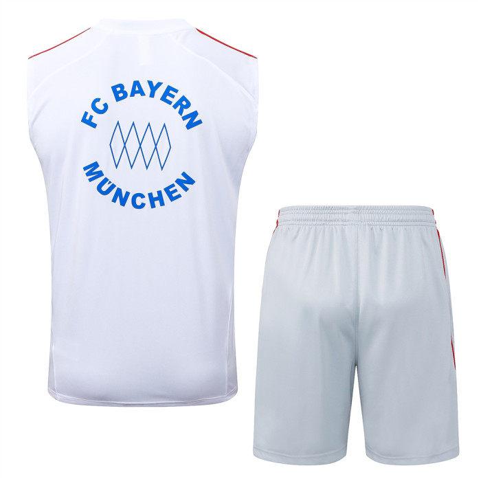 Bayern Munich Training Jersey 25/26