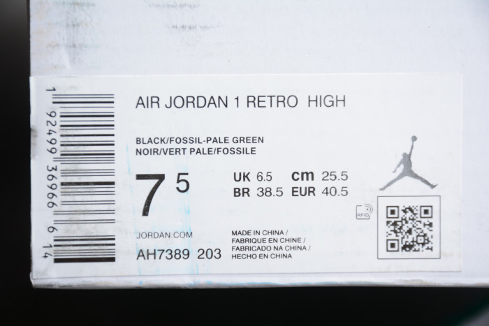Air Jordan 1 High Premium Bio Beige (AH7389 203)