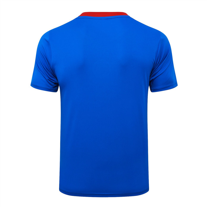 Paris Saint Germain Training Short sleeve Jersey 25/26