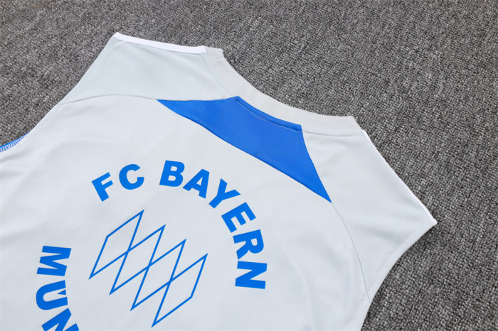 Bayern Munich Training Jersey 25/26
