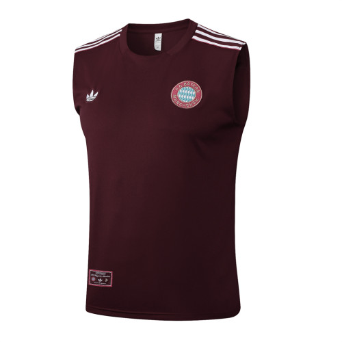 Bayern Munich Training Jersey 25/26