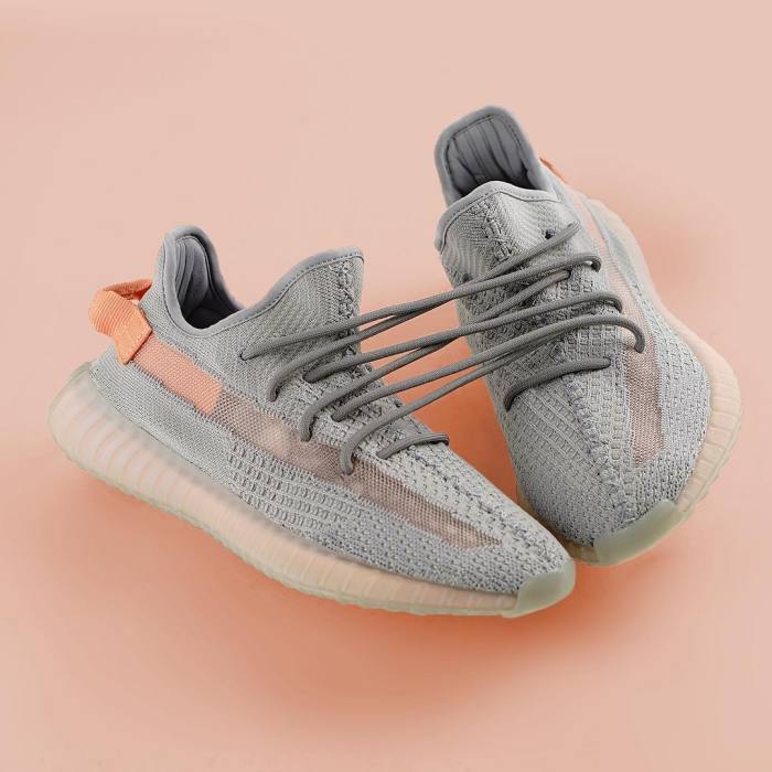 Adidas Yeezy Boost 350 V2 “True Form” EG7492