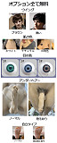 Qita Doll 175CM 男性ラブドール ペニス一体式 等身大リアルドール