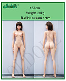Jarliet #119ヘッド 望ちゃん 157cm Bカップ TPEラブドール リアルドール 等身大 ダッチワイフ 