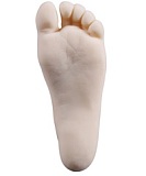 Qita Doll 最新作 150cm Dカップ#62ヘッド （星洛）TPEラブドール リアルドール ダッチワイフ 等身大