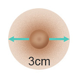 AXBDOLL 65CMバスト大 #A04 ミニmomo tpeラブドール