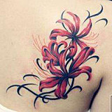 ILDOLL #21ヘッド 160bbcm Eカップ 掲載画像シリコン製超リアルメイク super makeup ラブドール