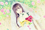 wmdoll #153Bヘッド TPEラブドール