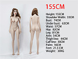 Irontechdoll ボディのみ ボディ単体（ヘッド含めてない）  tpeラブドール
