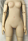 58㎝普通乳TPE+BJD