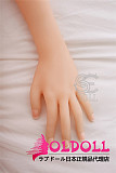 SEDOLL 158cm Dカップ  022ヘッド  TPE製等身大リアルラブドール
