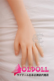SEDOLL 158cm Dカップ  023   ヘッド  TPE製等身大リアルラブドール