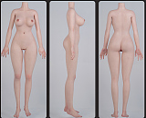WAXDOLL  フルシリコン製   165cm Fカップ+G29等身大リアルラブドール