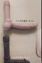 wmdoll ペニス 15cm/19cm tpe製２種類選択可能