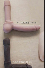 wmdoll ペニス 15cm/19cm tpe製２種類選択可能