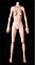 158cm Cカップ