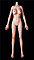 158cm Fカップ