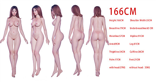 Irontechdoll 166cm Cカップ 新作ヘッド シリコン製リアルラブドール 塗装加工あり 眉毛と睫毛植毛加工あり  リアルドール 等身大 ダッチワイフ