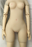 Mini Doll ミニドール 55CM 莎莉（shali）ヘッド シリコン製 セックス可能 軽量化 1.7kg 収納が便利 使いやすい 普段は鑑賞用 小さいラブドール 女性素体 フィギュア cosplay