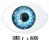 Sanhui doll 65cm Bカップ #X3ヘッド  シリコンラブドール リアルドール ダッチワイフ セックスドール