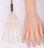 DHDOLL フルシリコン製 150CM 尼克ちゃん 男性ラブドール 等身大リアルドール