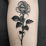 ILDOLL ボディ単体　tpe/シリコン材料を選択可能 ラブドール