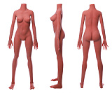 COSDOLL ボディ単体 tpe製 等身大 新骨格 リアルドール ラブドール