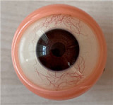 DHDOLL 165CM 偉ちゃん シリコンヘッド+TPE製ボディ 男性ラブドール 等身大リアルドール