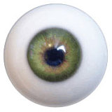 DOM DOLL 148cm普通乳 Cカップ  D6ヘッド 等身大リアルラブドール ヘッドとボディー材質選択可能 カスタマイズ可 ●宣材写真はフルシリコン材質