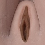 DOM DOLL 148cm普通乳 Cカップ  D7ヘッド （掲載画像シリコンヘッド+TPEボディ）等身大リアルラブドール ヘッドとボディー材質選択可能 カスタマイズ可