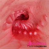 Tantaly(トルソー) Jennifer tpe製トルソー 等身大 リアルドール