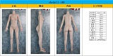 SHEDOLL 140cm Aカップ  洛小夕(luoxiaoxi)ちゃん  シリコンヘッド tpe製ボディ 等身大リアルラブドール