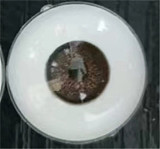 Mini Doll 1/3ミニドール X4ヘッド 60cm ボディCM011 シリコン製ドール フィギュア cosplay