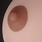 EXDOLL 高級シリコン製 145cm Cカップ 普通乳  優(you) 可愛い等身大リアルラブドール