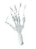 【お口の開閉機能選択可能】 COSDOLL 宣伝画像160cm Eカップ シリコンヘッド #23+tpeボディ 等身大 新骨格 リアルドール ラブドール