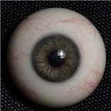 WAXDOLL ヘッド単体 #GE14-1 (151cm-175cmのボディに適用) 開閉機能あり 頭のみ フルシリコン製  等身大リアルラブドール