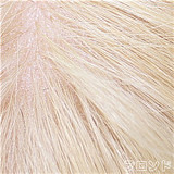 Real girl 頭部単体 D2ヘッド単品 口開閉機能付き リアルな口腔構造 軟性シリコン製  頭のみ 職人メイク付き 等身大ラブドール M16ボルト採用 140-170cmのボディに適用