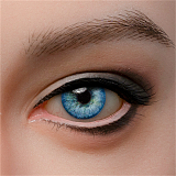 WAXDOLL 専用眼球 一つセット3500円