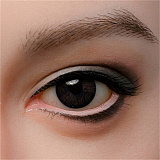 WAXDOLL 専用眼球 一つセット3500円