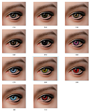 WAXDOLL 専用眼球 一つセット3500円