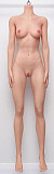 Jiusheng doll 163cm Fカップ #31 EVELYNちゃん 硬めシリコンヘッド+tpe製ボディ 等身大リアルラブドール