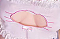 ゼリー胸