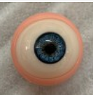 Starpery 163cm Gカップ 雪ヘッド フルシリコンラブドール 等身大リアルドール