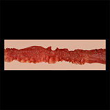 ZELEX フルシリコン製 X165cm/167cm/170cm/175cmボディ単品  等身大リアルラブドール