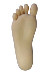 Sanhui doll (TPE製) 145cm Dカップ （バスト大）＃10ヘッド TPE製ラブドール