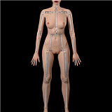 WAXDOLL フルシリコン製  151cm Aカップ+GE109ヘッド 等身大リアルラブドール