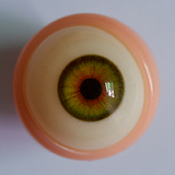 Qita Doll シームレスドール  #金妮(jinni)ヘッド 165cm Eカップ 開閉機能付き 髪の毛の植毛付き フルシリコン製ドール 等身大リアルラブドール