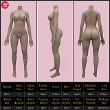 SEDOLL シリコン製 161cm Eカップ Head#068SO Annika.Aちゃん  等身大リアルラブドール ダッチワイフ