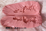 【14号】RZRDOLL 人造人  160cm Eカップ 小十四ちゃん+【13号】170cm Cカップ 嘉怡  等身大 フルシリコン製ラブドール