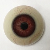 【19号】人造人(RZRDOLL)  掲載画像究極版Rメイク(19R)  NO.19 允熙Leylaヘッド 168cm Fカップ ヘッドとボディ自由に組合 等身大  フルシリコン製ラブドール